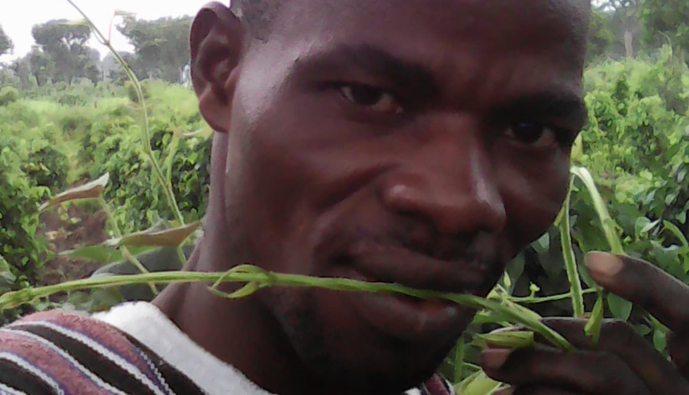 Listing image gallery