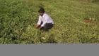 Samwel
