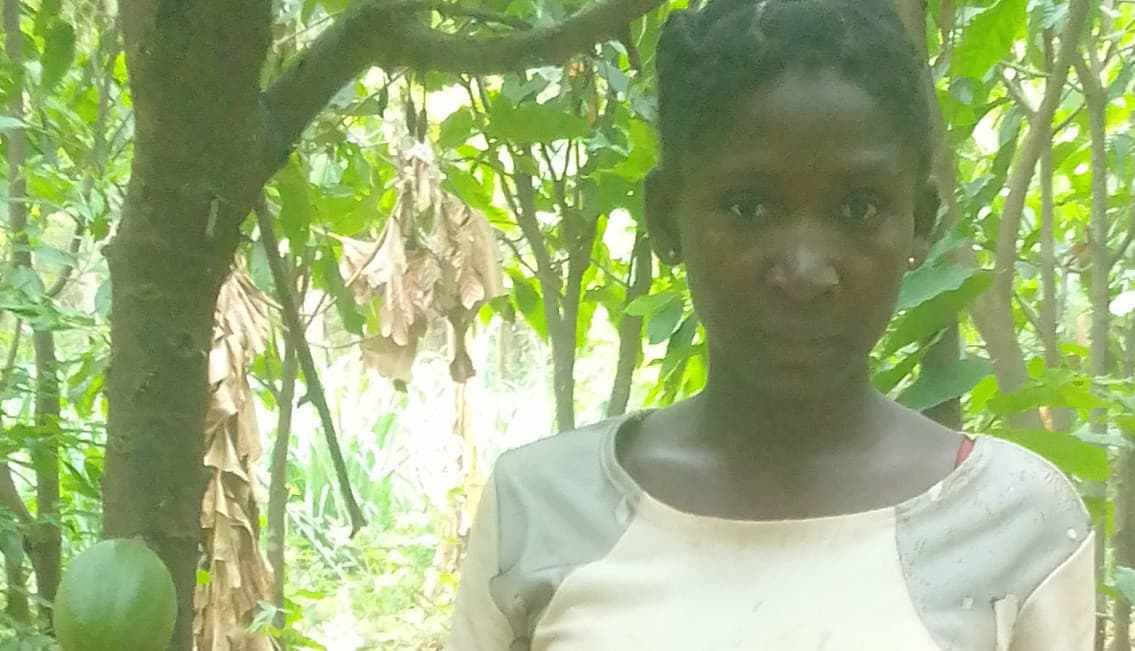 Listing image gallery