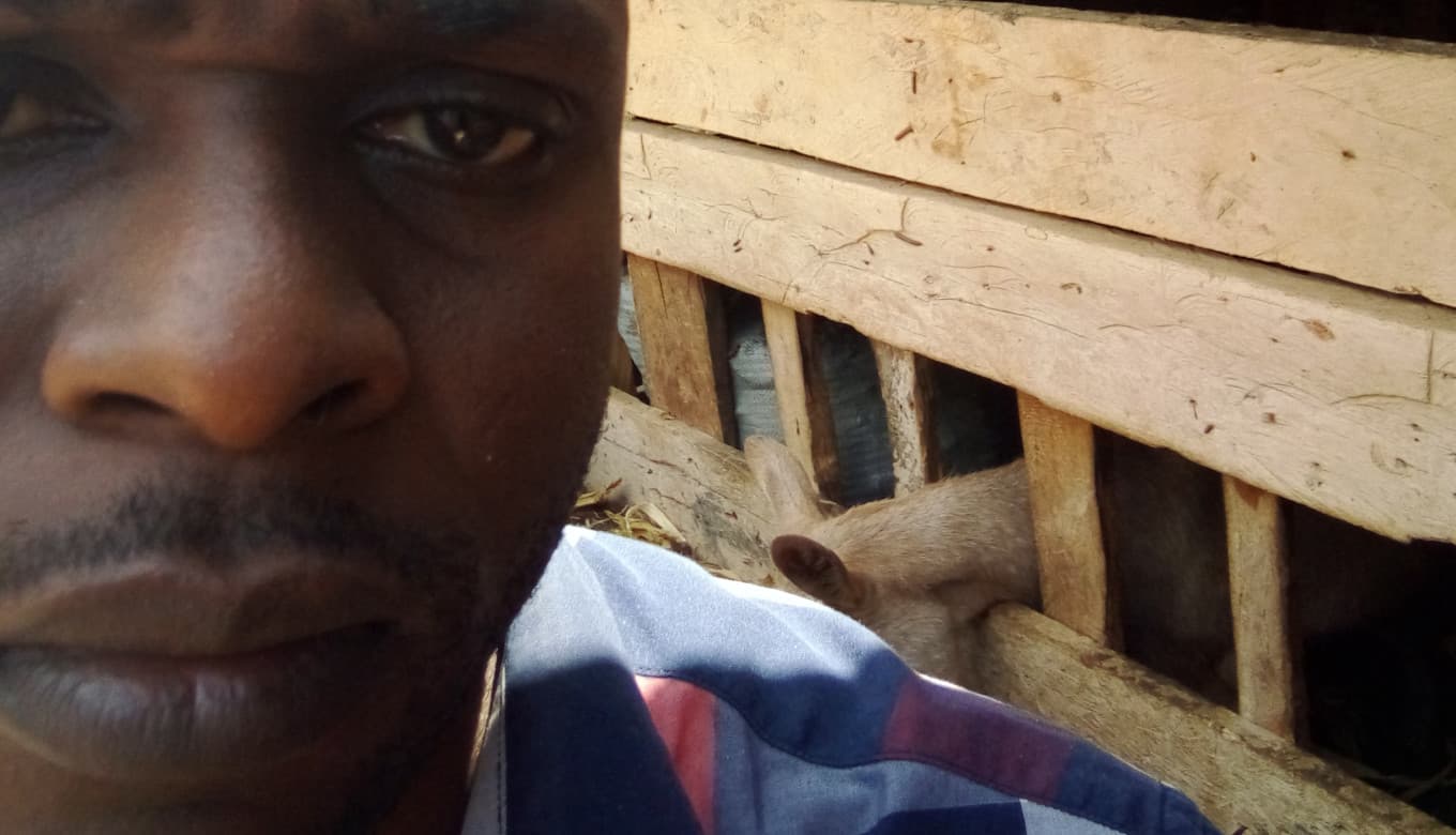 Listing image gallery