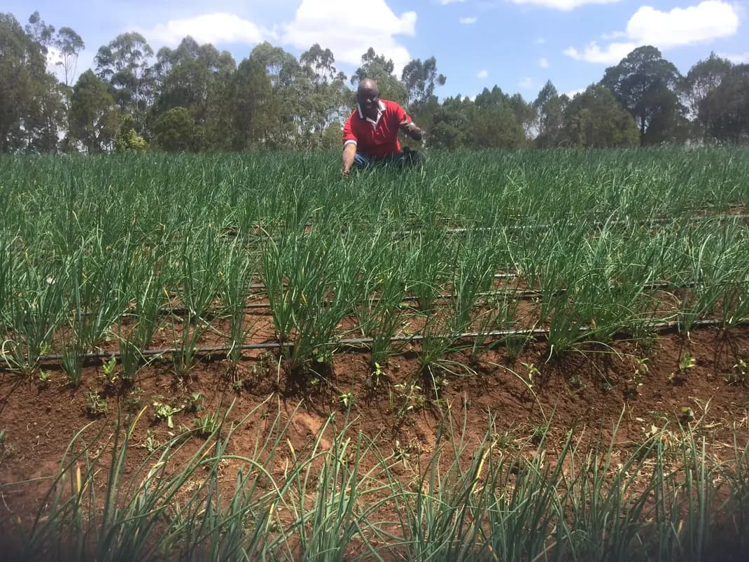 Listing image gallery