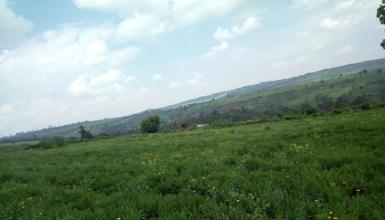 Listing image gallery