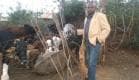 Festus