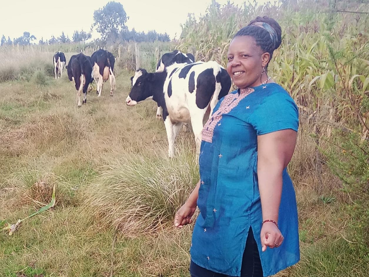 Listing image gallery