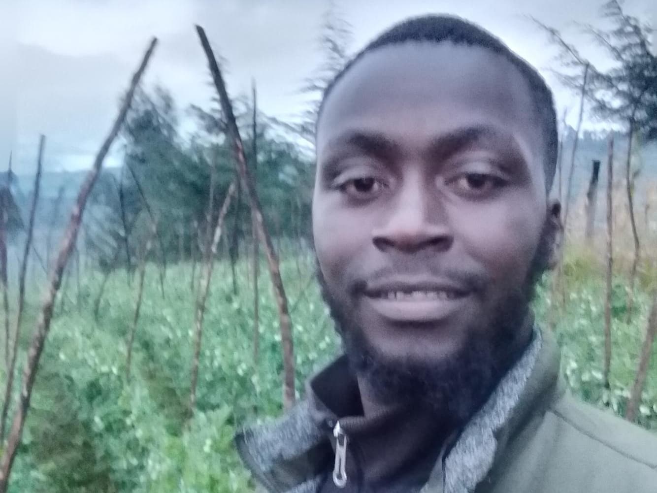 Listing image gallery