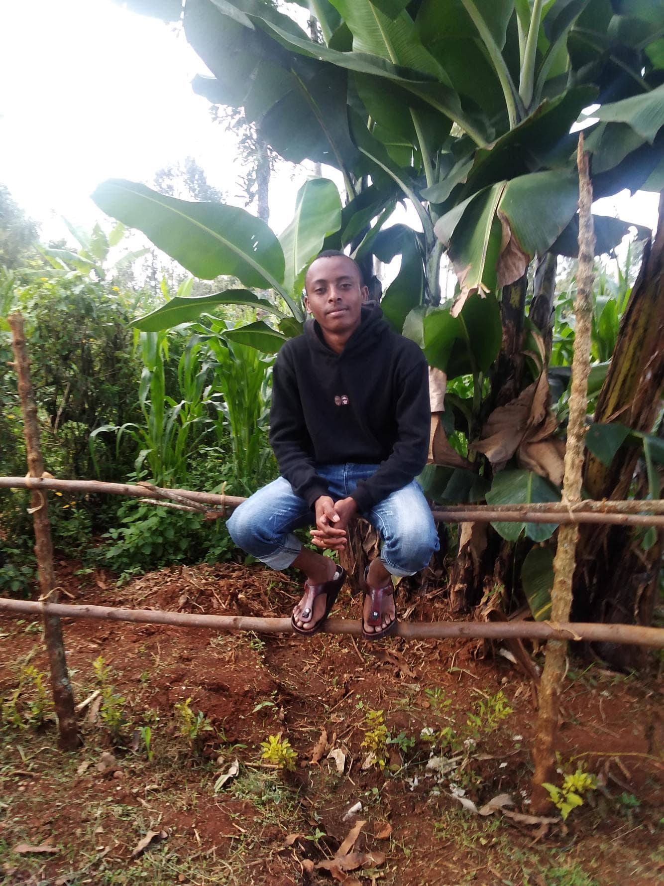 Listing image gallery