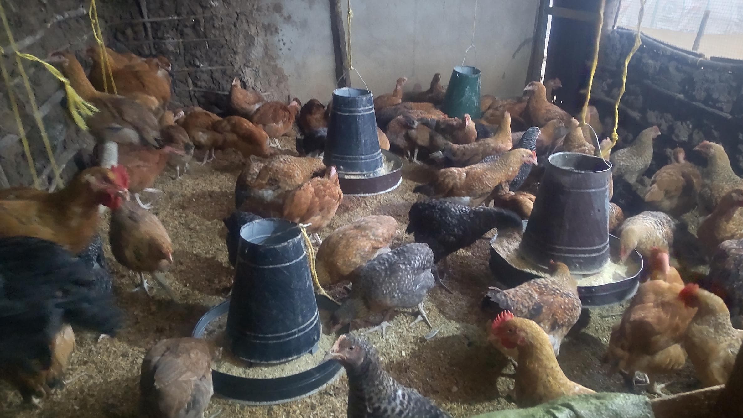 Listing image gallery