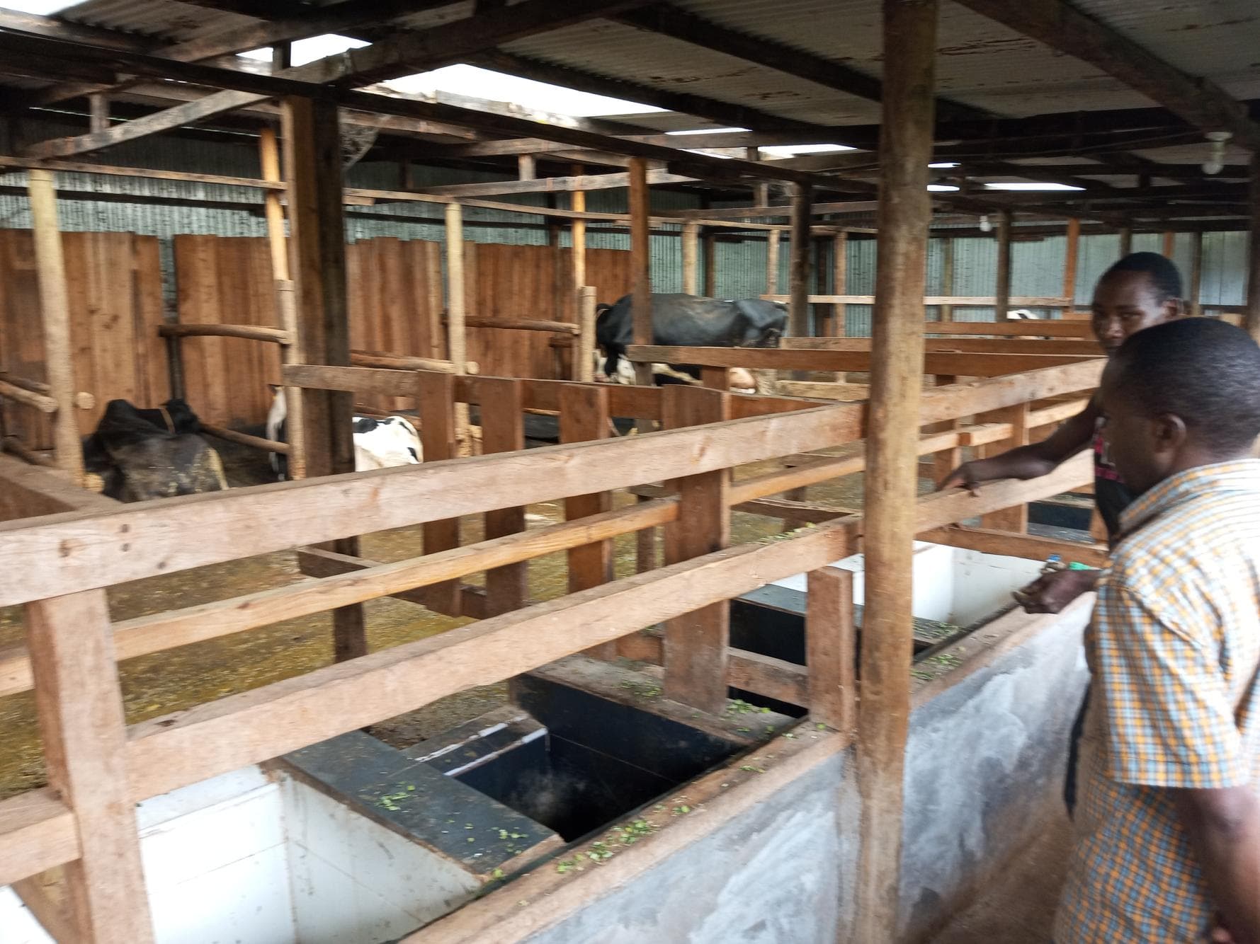 Listing image gallery