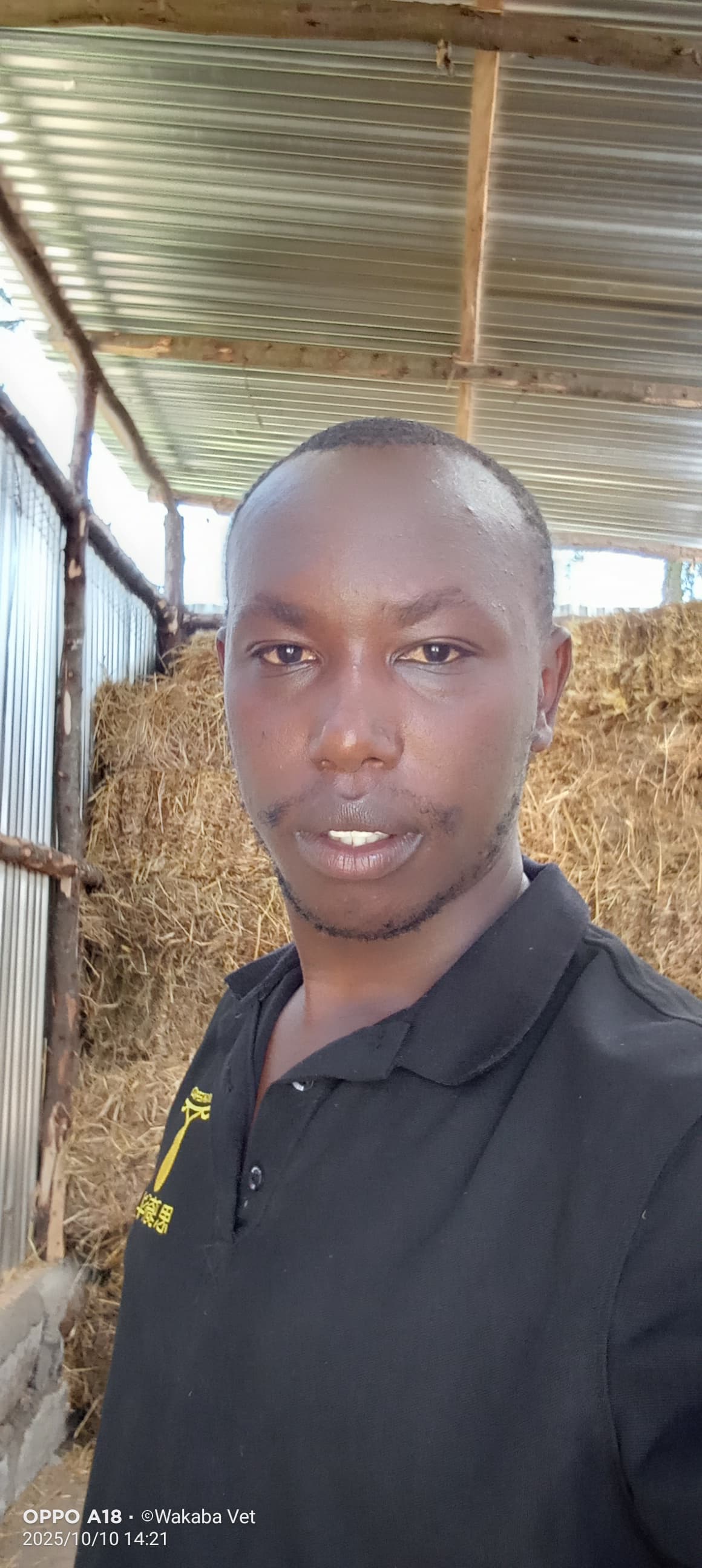 Listing image gallery