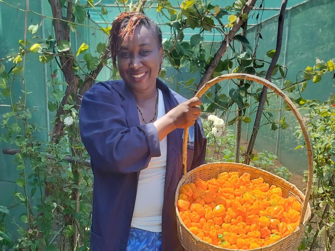 Listing image gallery