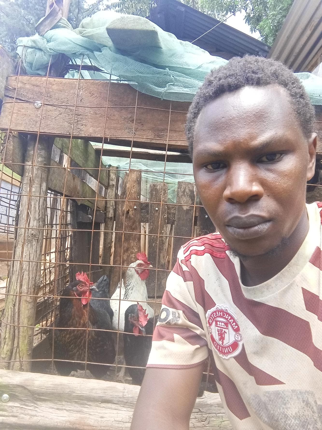 Listing image gallery