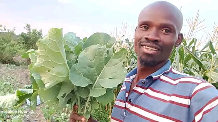 Listing image gallery