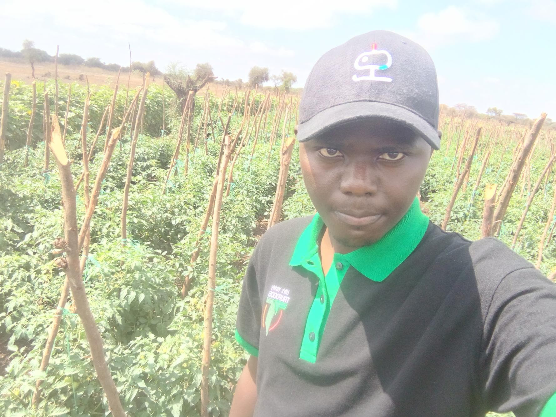 Listing image gallery