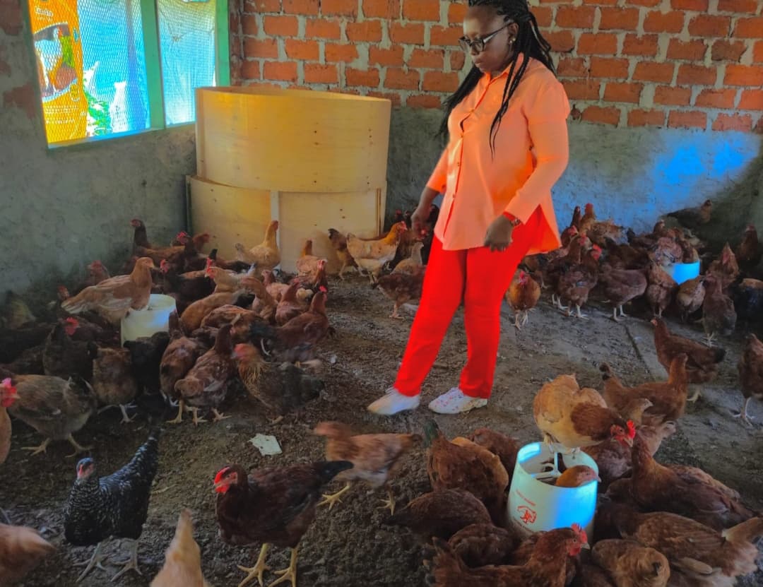 Listing image gallery