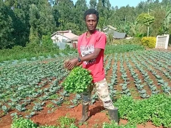 Listing image gallery