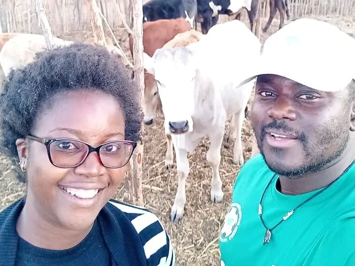 Listing image gallery