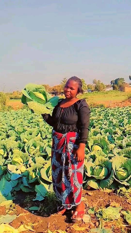 Listing image gallery