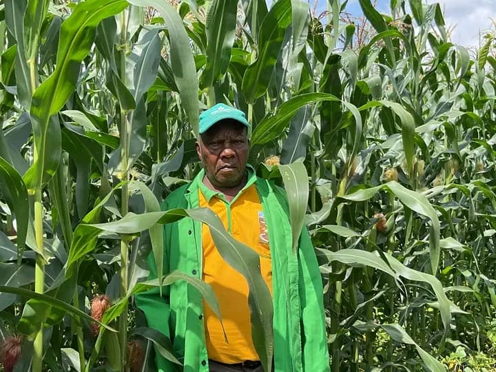 Listing image gallery