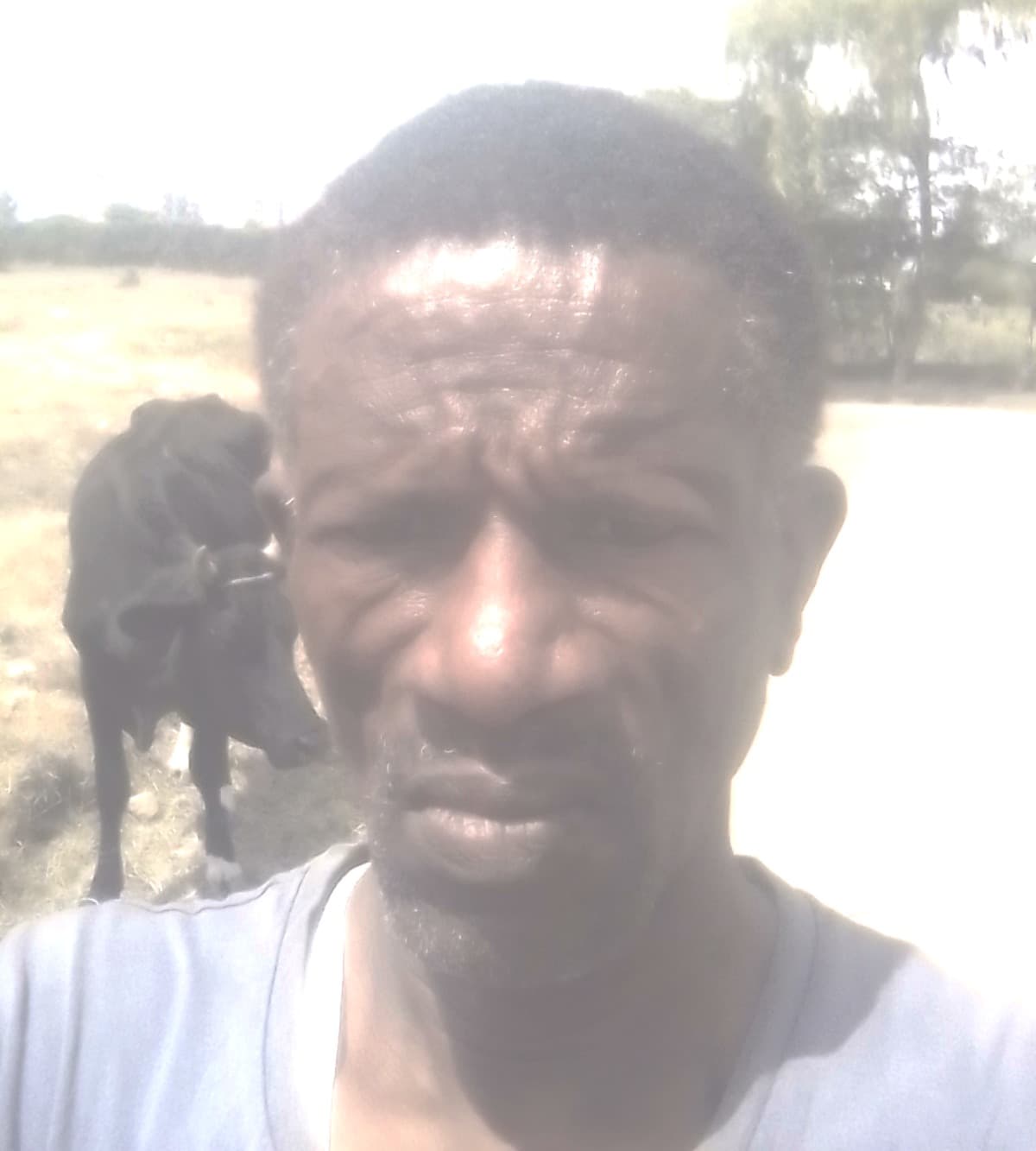 Listing image gallery