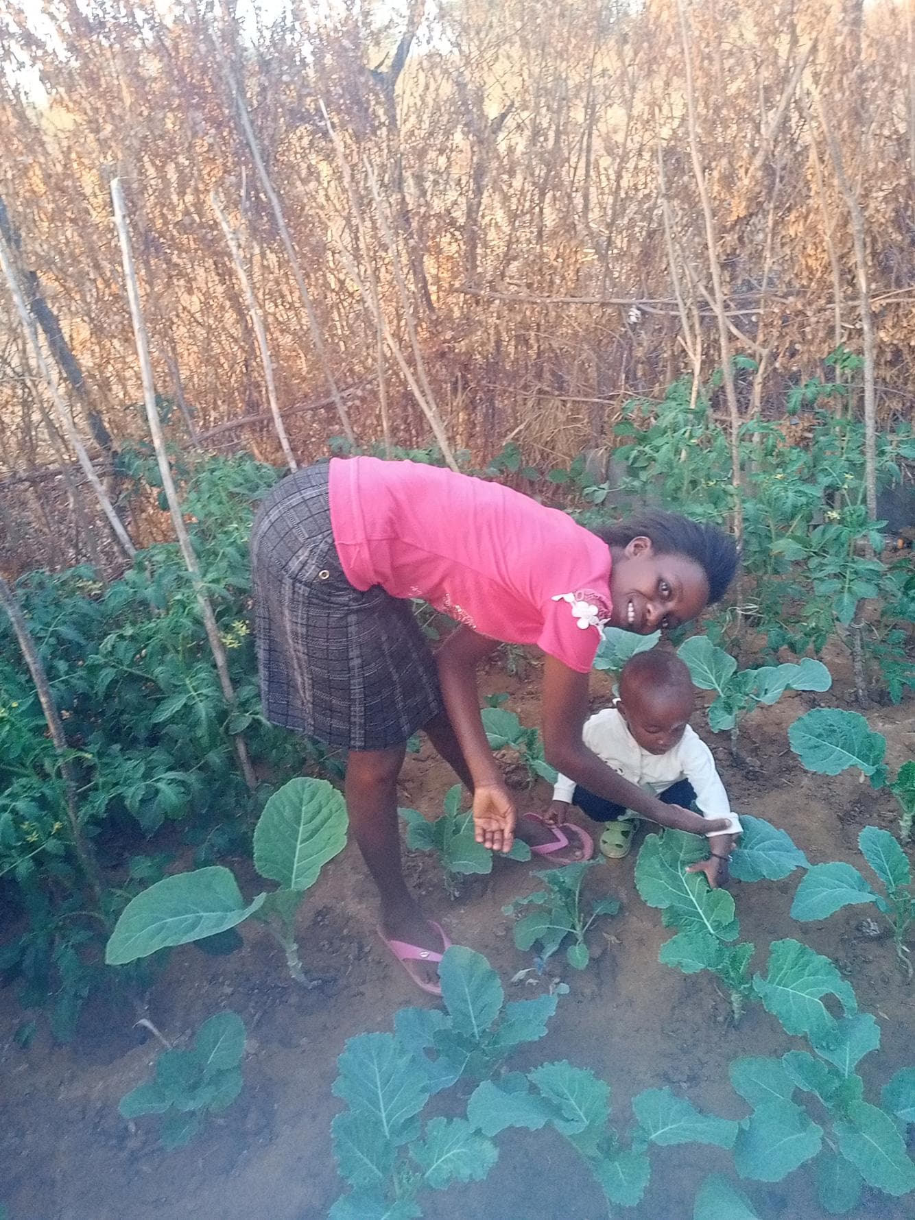 Listing image gallery