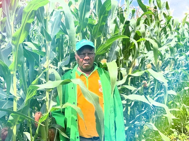 Listing image gallery