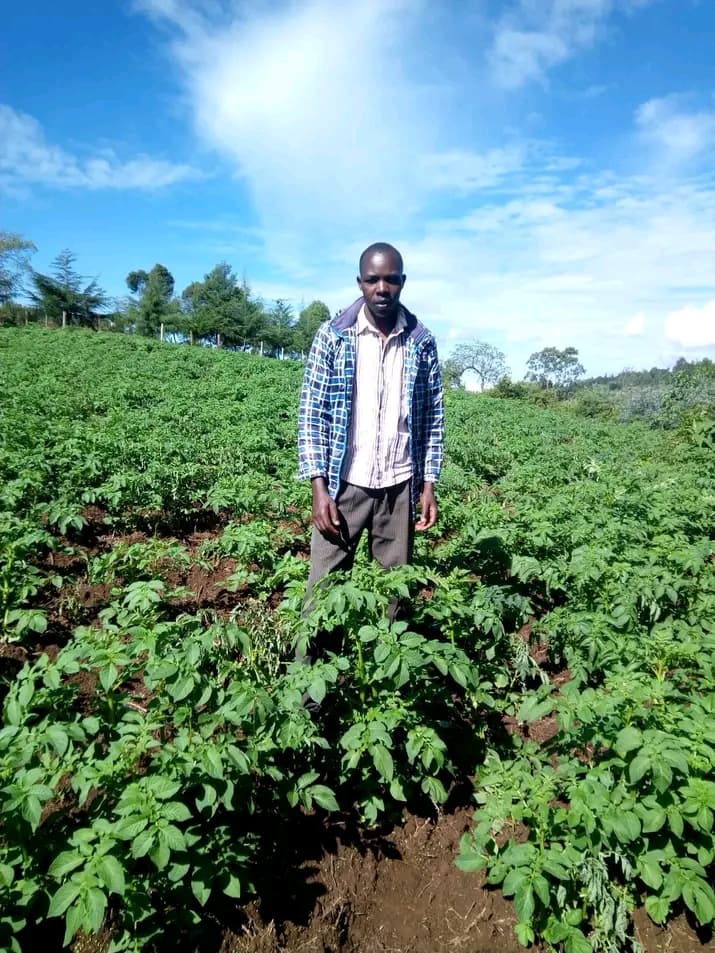 Listing image gallery