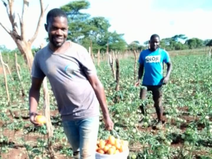 Listing image gallery