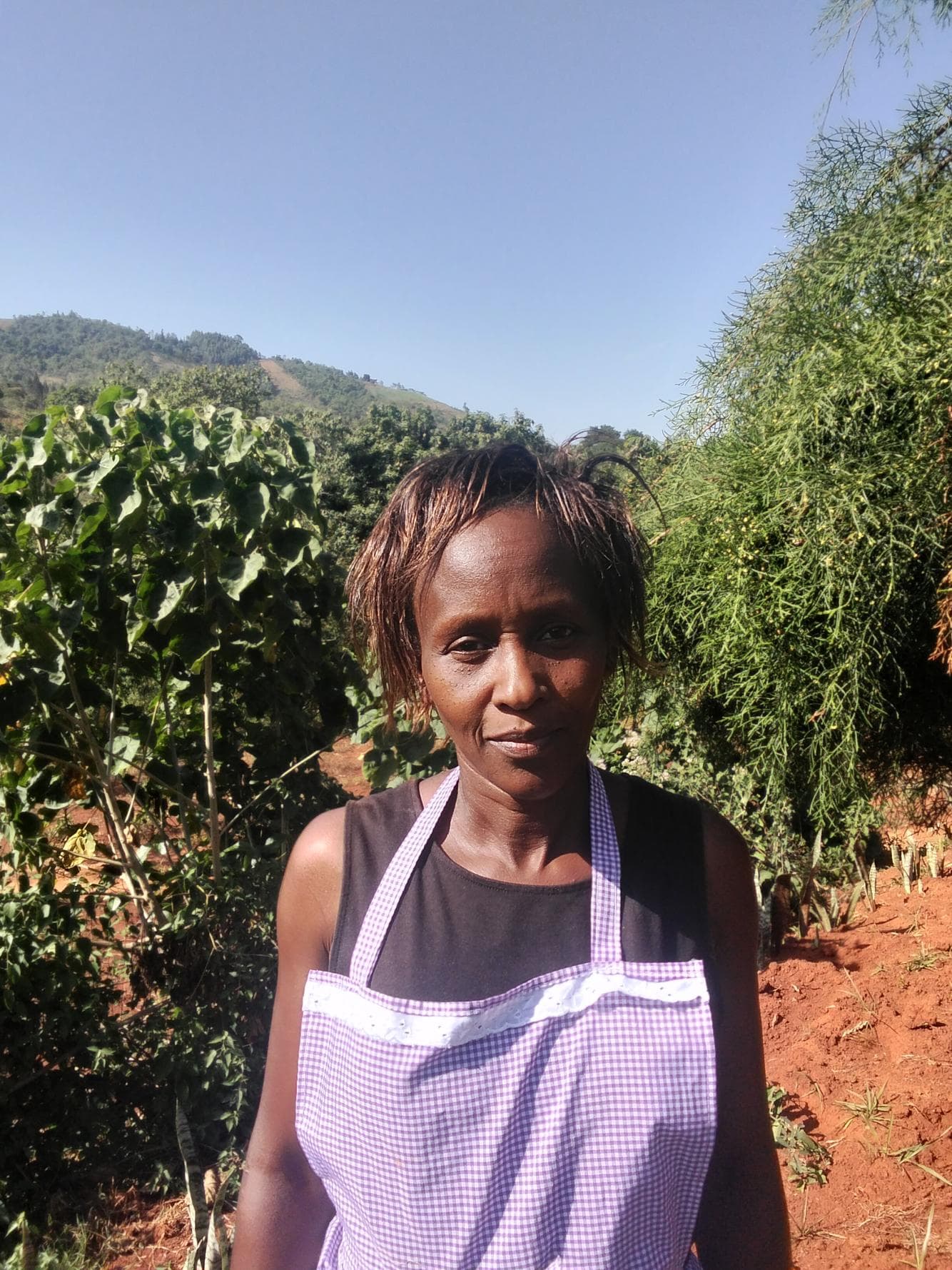 Listing image gallery