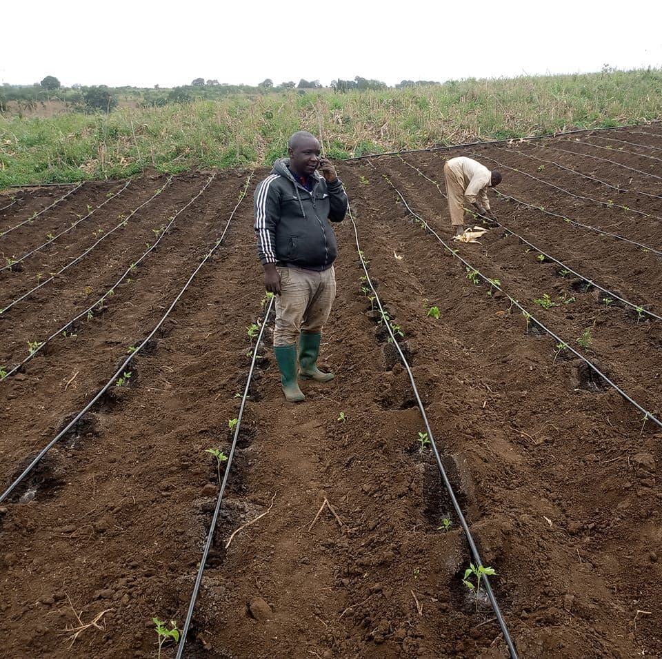 Listing image gallery