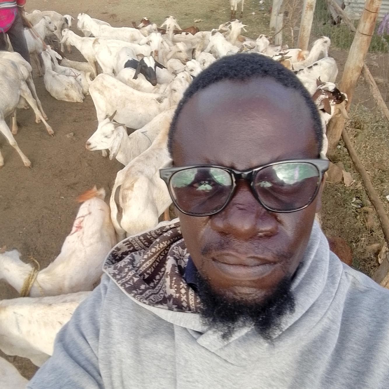 Listing image gallery