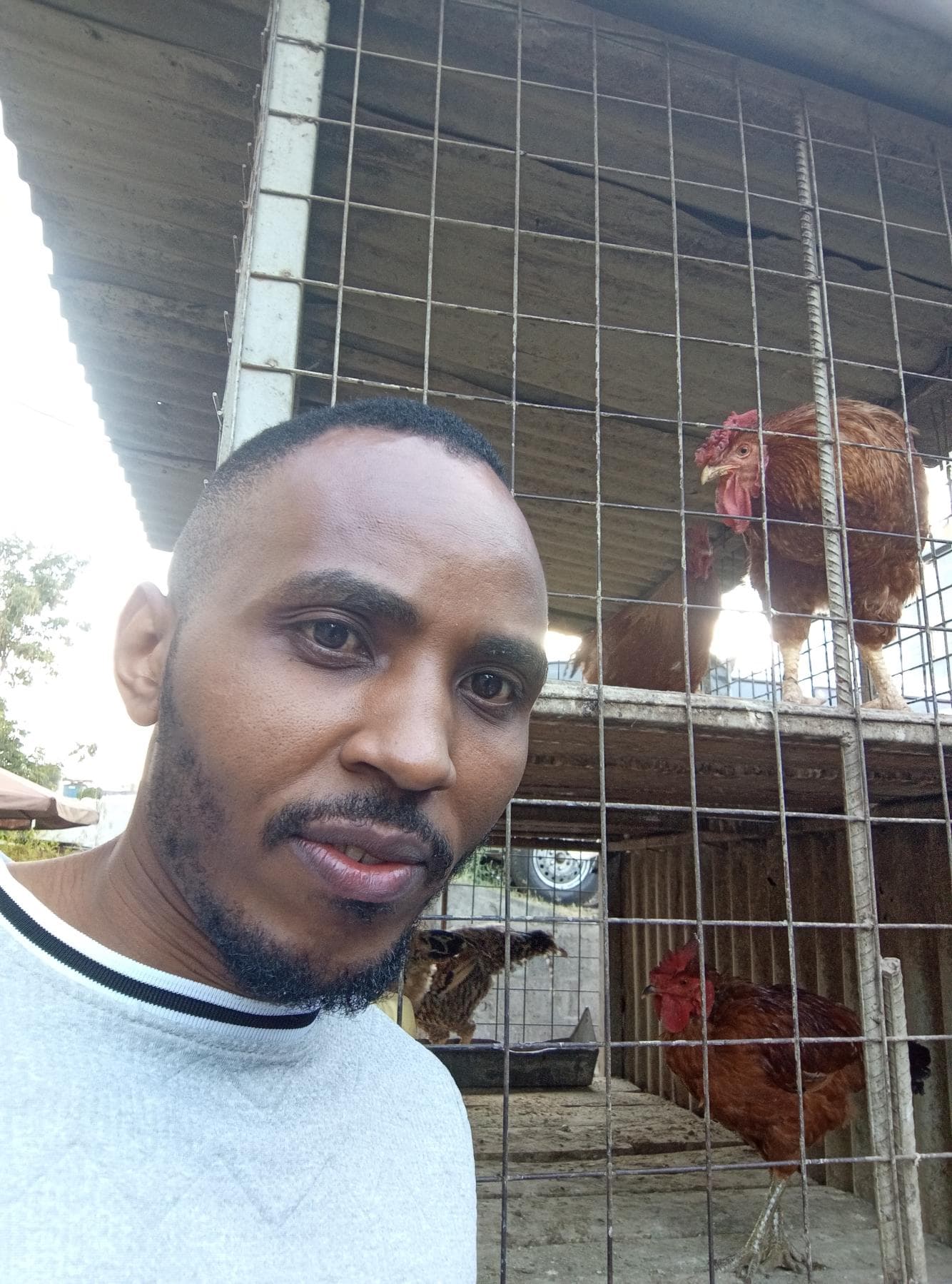 Listing image gallery