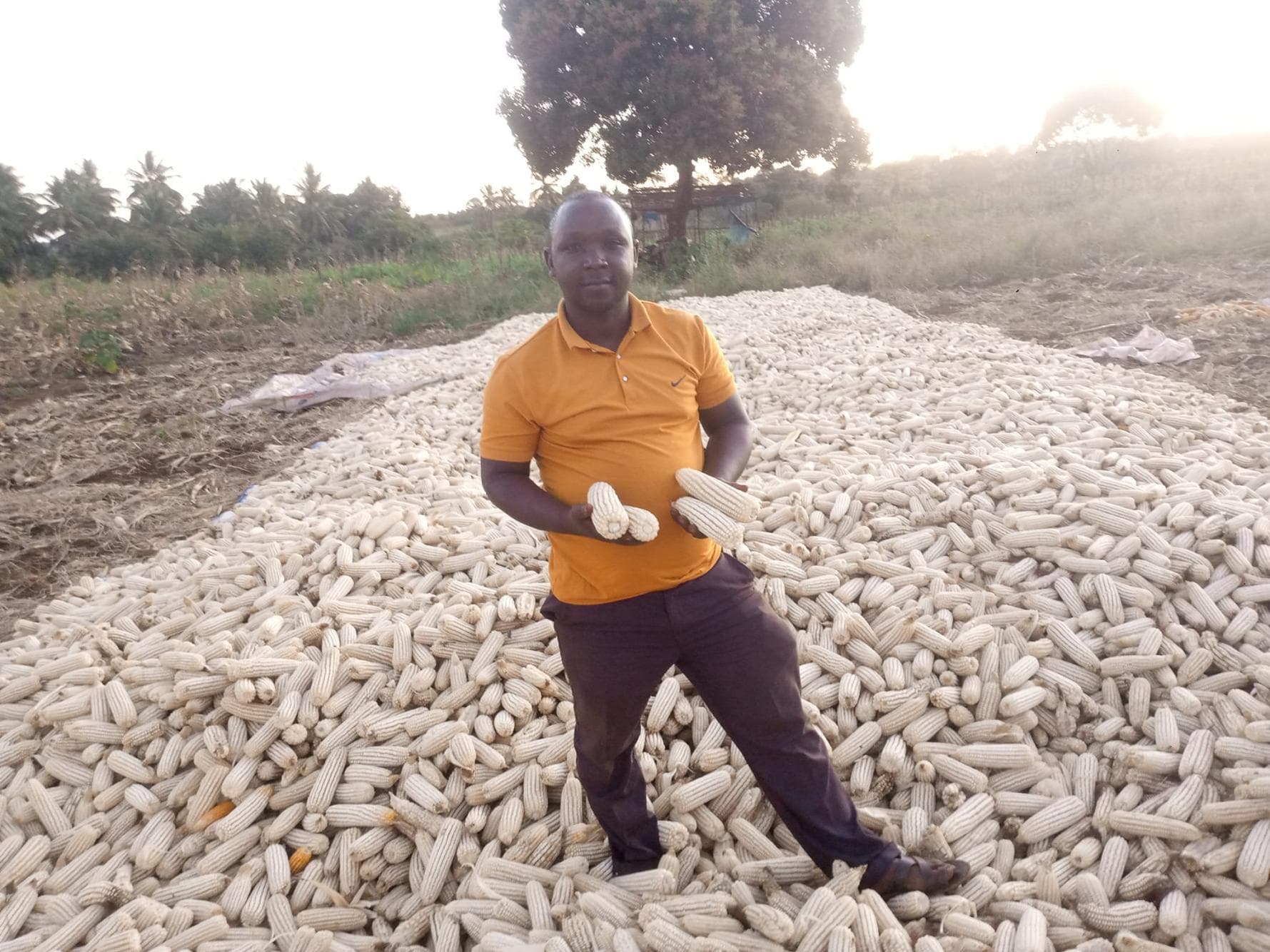 Listing image gallery