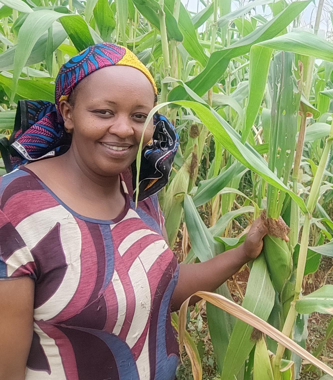 Listing image gallery