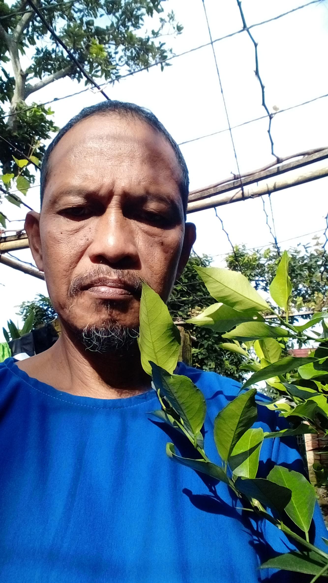 Listing image gallery