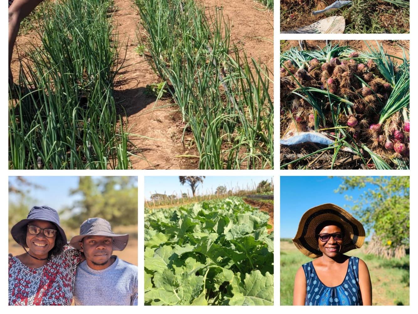 Listing image gallery