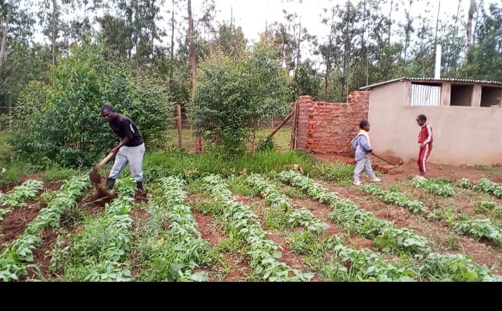 Listing image gallery