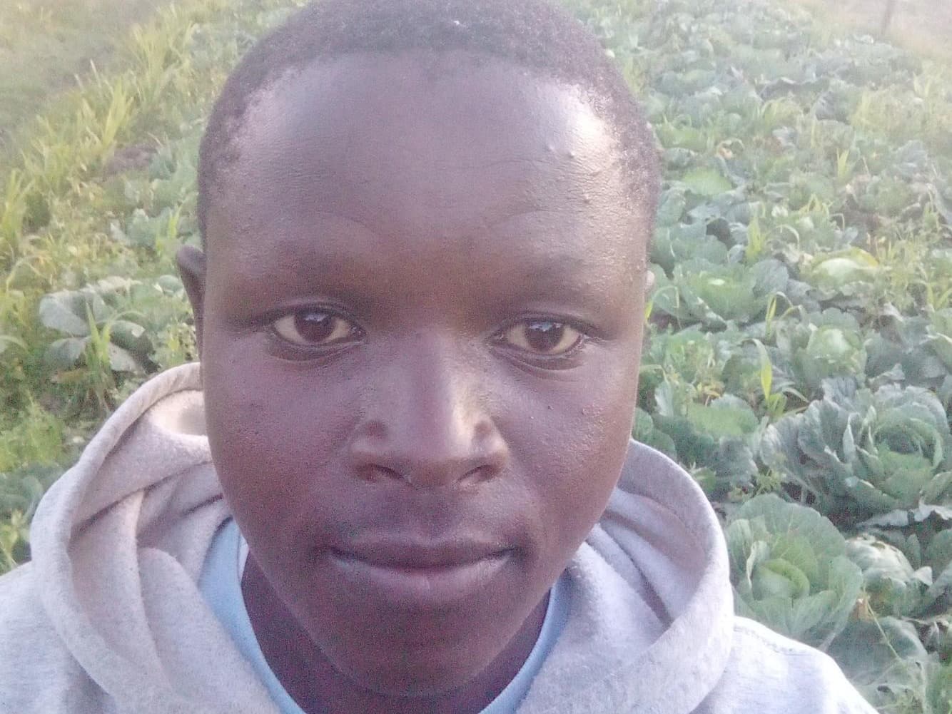 Listing image gallery