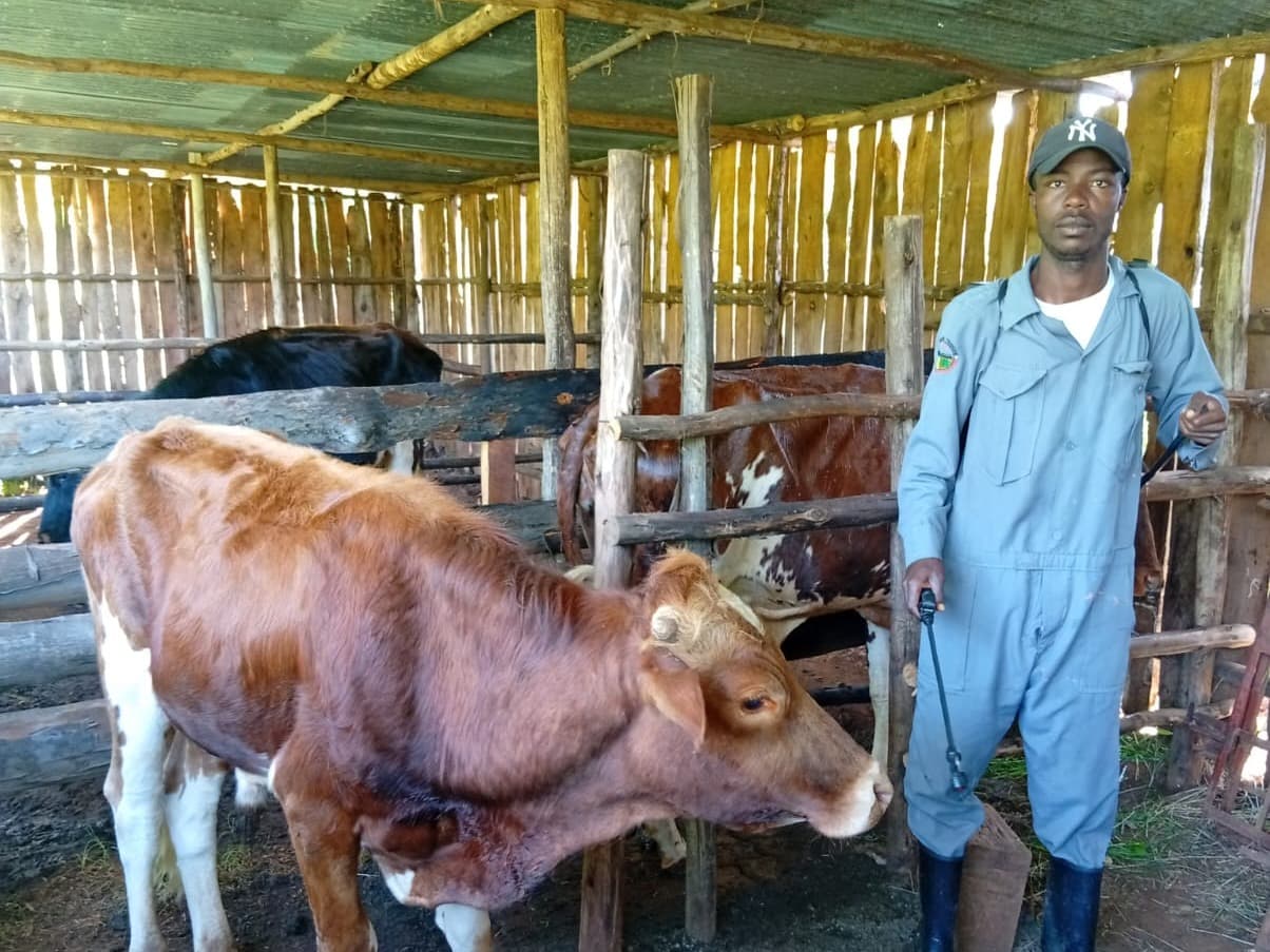 Listing image gallery