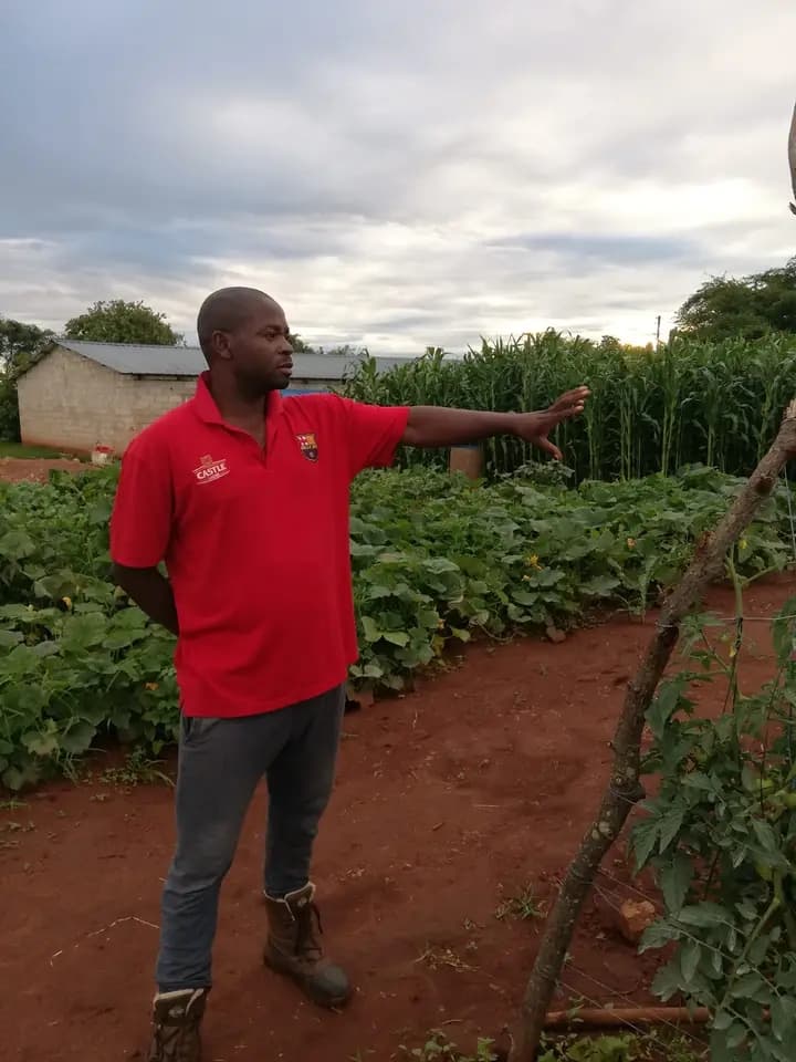 Listing image gallery