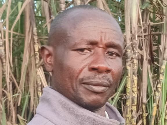 Listing image gallery