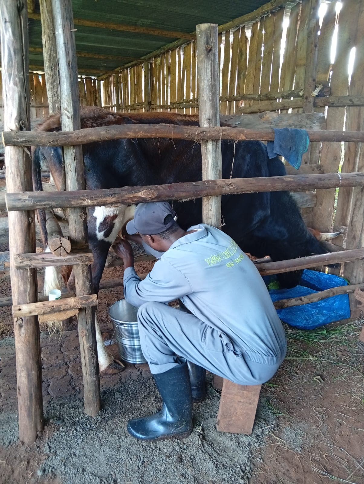 Listing image gallery