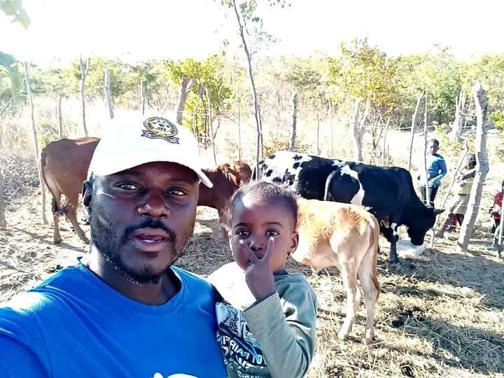 Listing image gallery