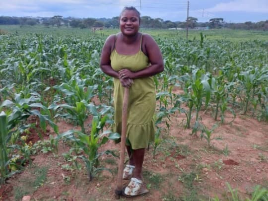 Listing image gallery