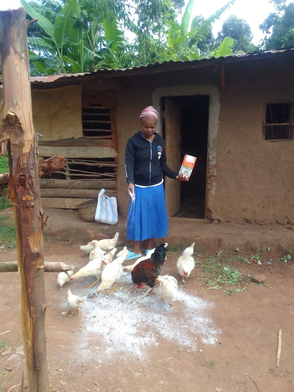 Listing image gallery