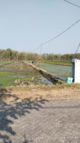 Sumarno