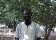 Sarfo