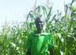 Eliud