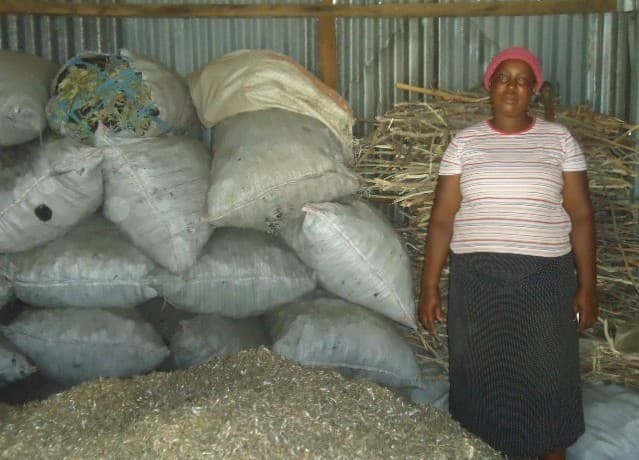 Listing image gallery