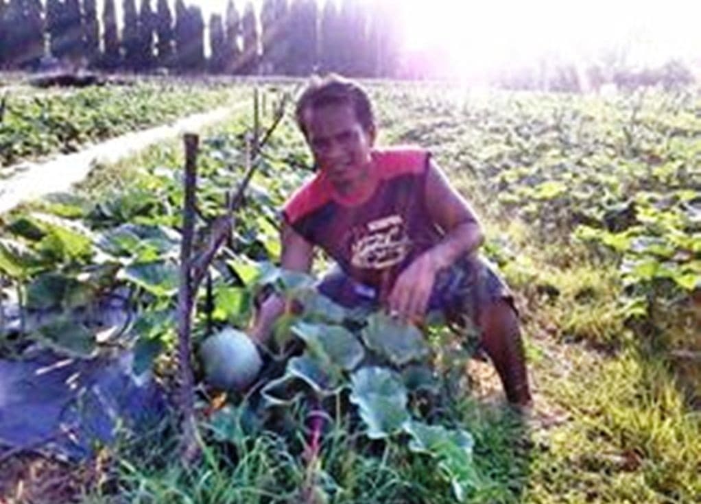 Listing image gallery