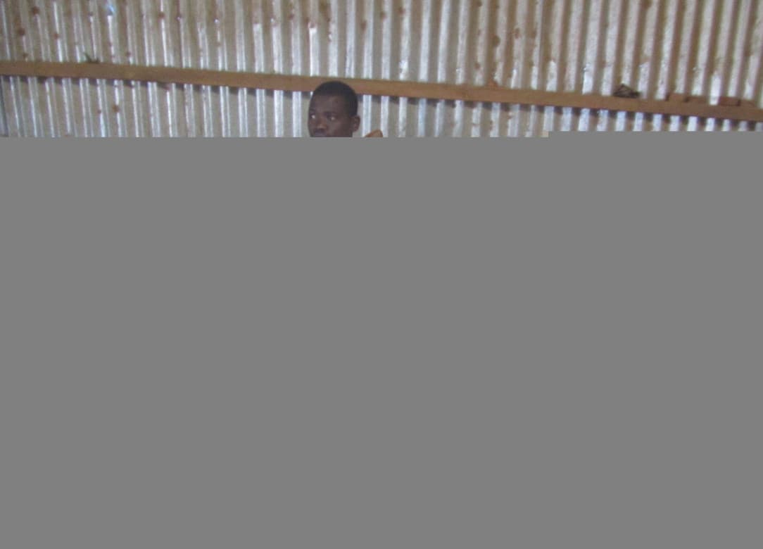 Listing image gallery